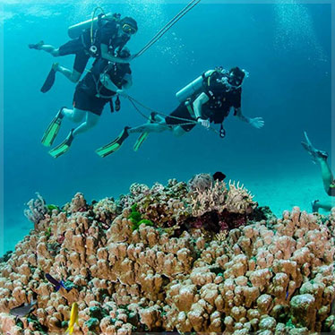 padi bubble maker
