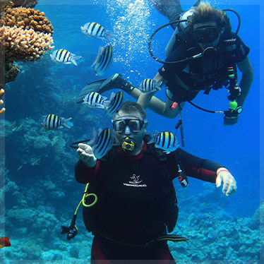 PADI Scuba Review (Auffrischung) hurghada