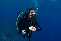 Deep Diver Spezialkurs Hurghada