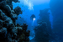 Deep Diver Spezialkurs Hurghada