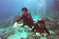 Open Water Diver Kurs