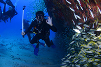 Wracktauchen Spezialkurs Hurghada