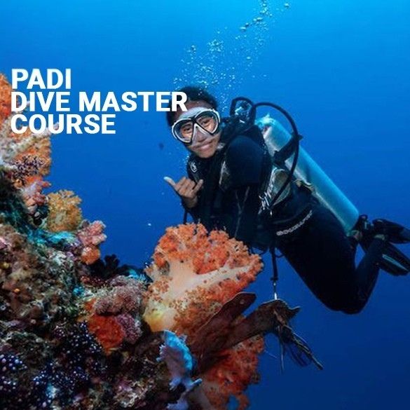 PADI Tauchmeister Kurs