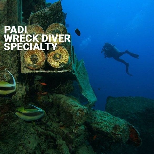 PADI Wreck Diver Spezialkurs Kurs